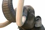 Elefant mit Stoßzähnen aus Elfenbein