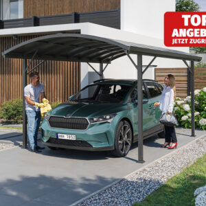 GFP Stahlcarport Claudio, 300x470 cm, Dicke 3 mm