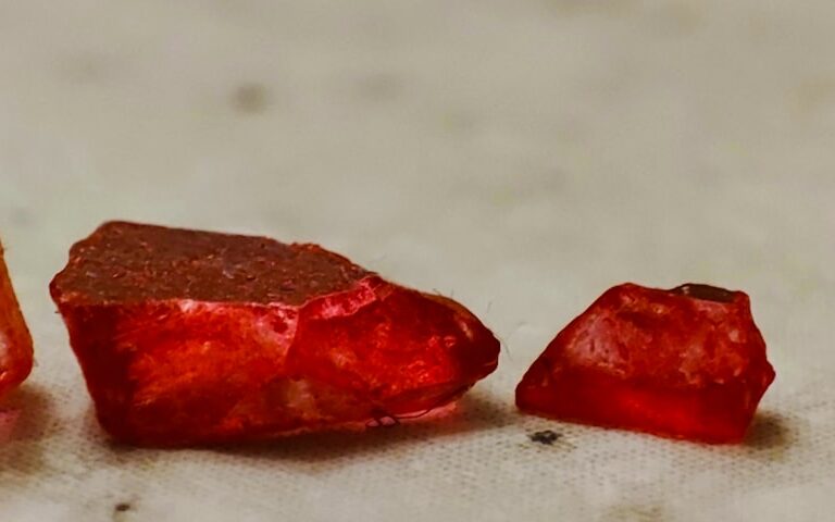 Blutjohannisbeeren Natur Allianz