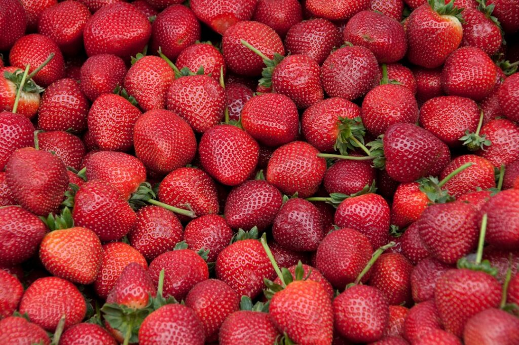 Erdbeeren Natur Allianz