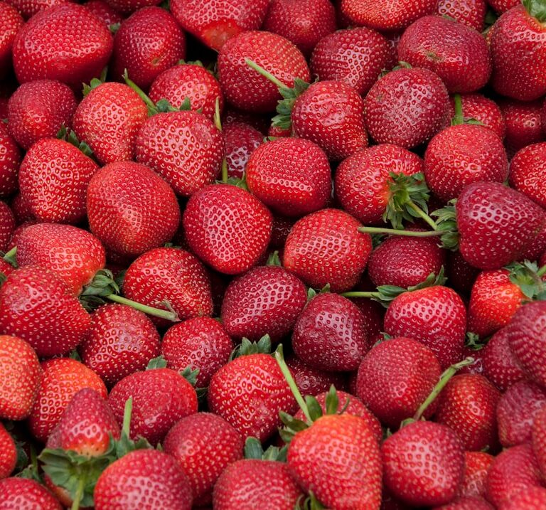 Erdbeeren Natur Allianz