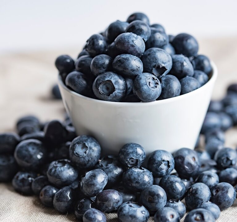 Heidelbeeren Natur Allianz