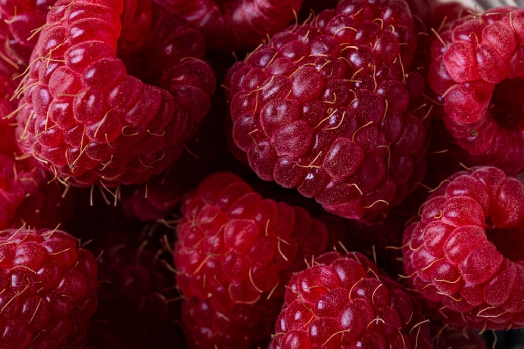 Himbeeren Natur Allianz