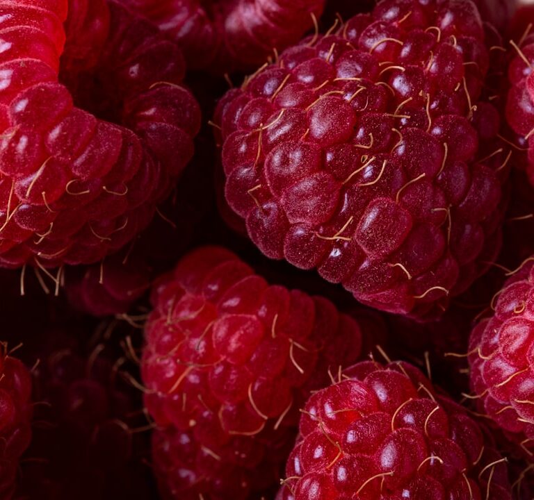 Himbeeren Natur Allianz