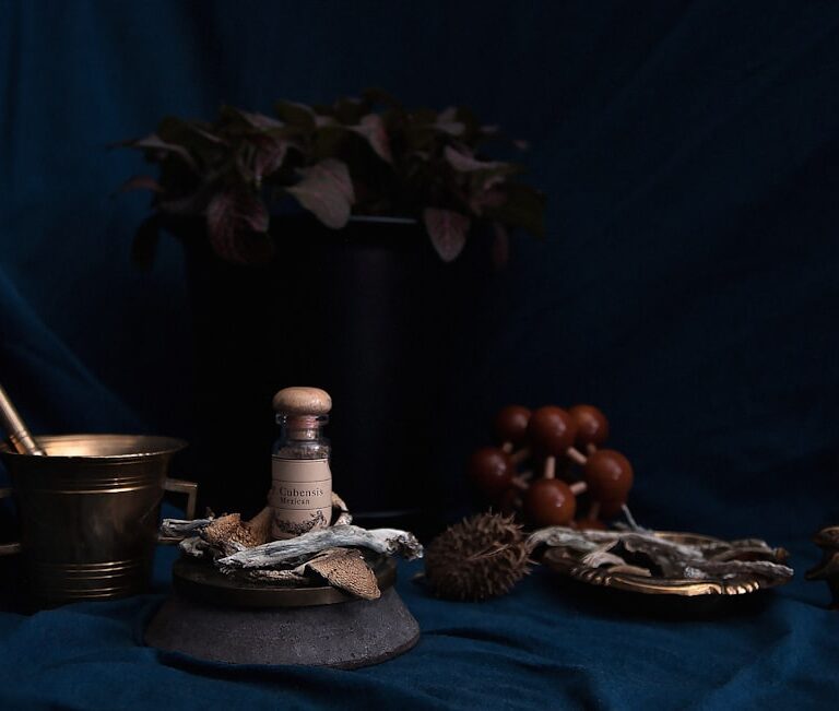 Wissen Natur Allianz