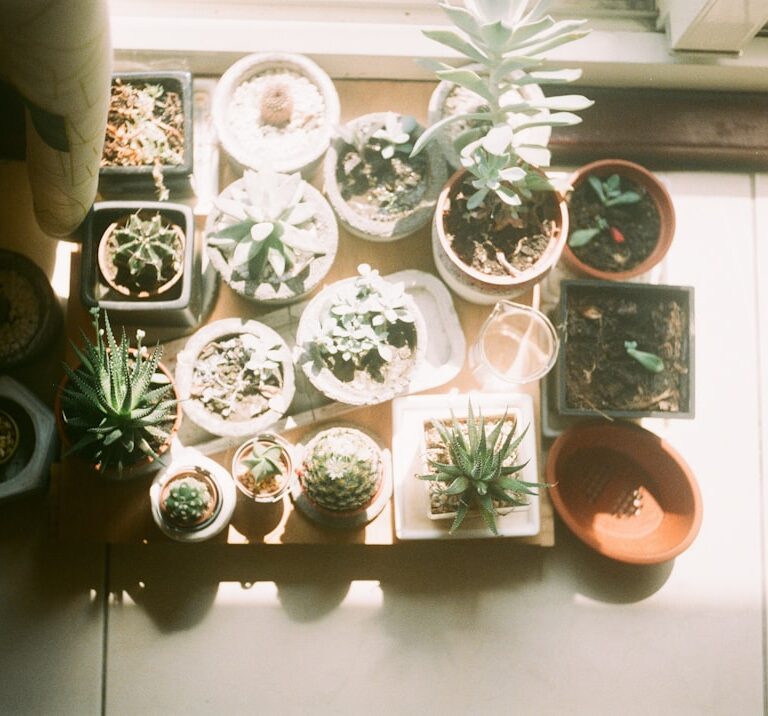 Wissen Natur Allianz