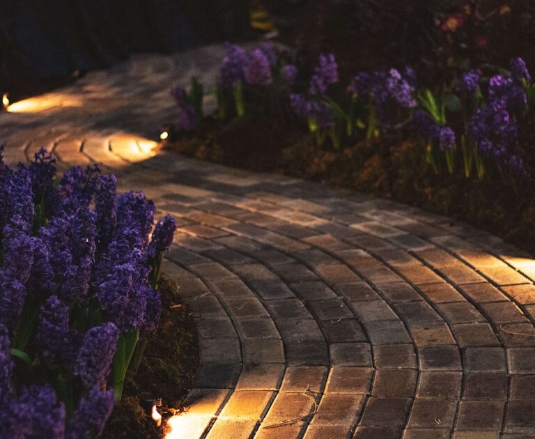 Beleuchteter gepflasterter Gartenweg am Abend zwischen blühenden Hyazinthen