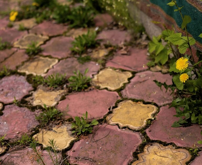 Grüne Pflanzen wachsen aus den Fugen eines gepflasterten Weges