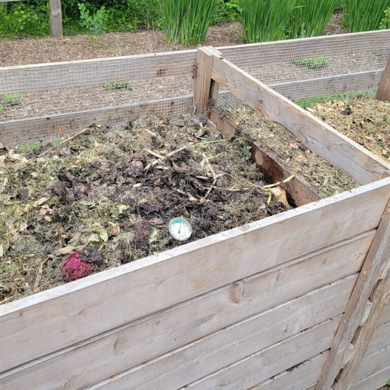 Zwei hölzerne Komposter im Garten, gefüllt mit Grünabfällen und Küchenresten