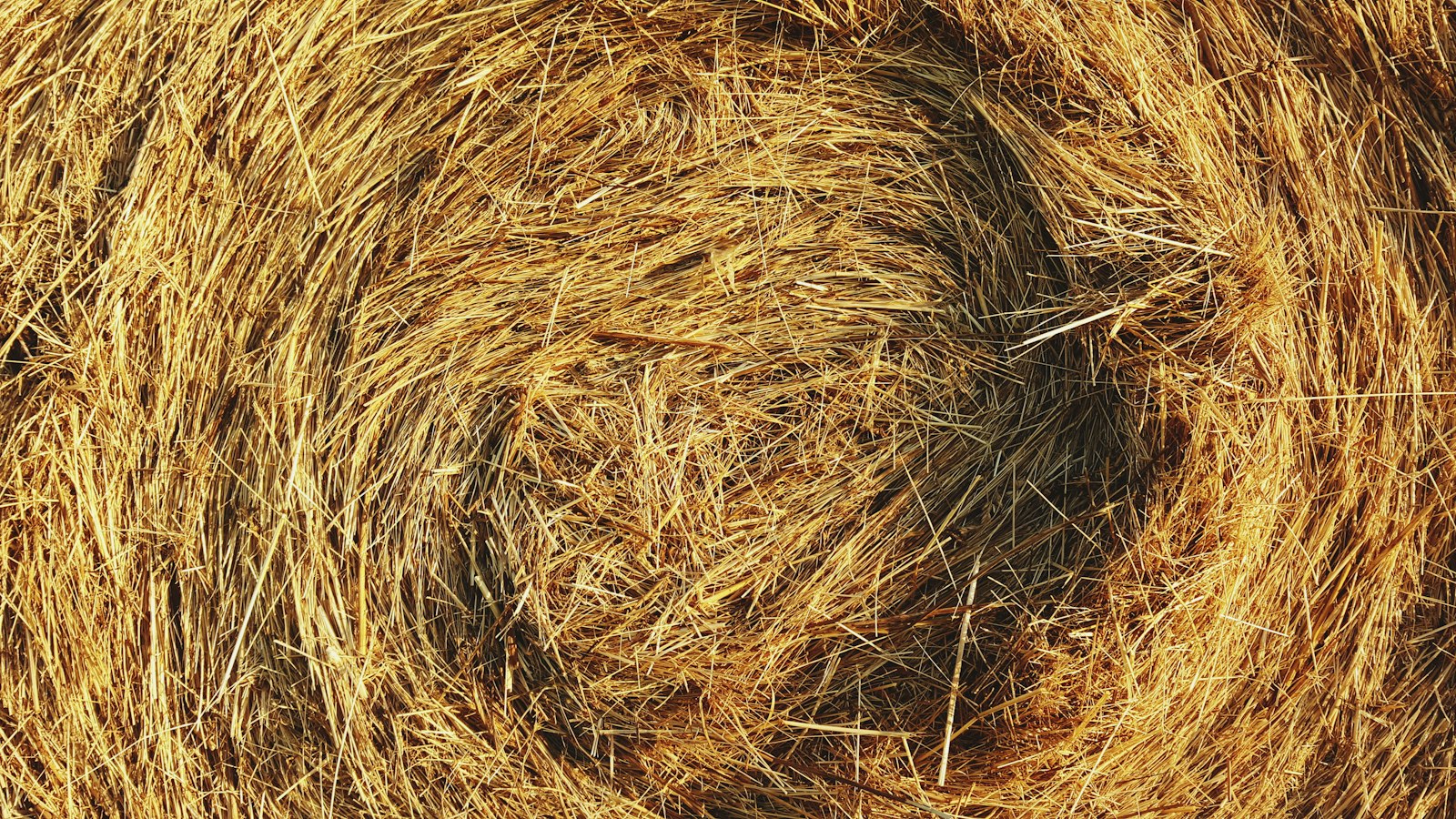 Nahaufnahme eines Strohballens mit hellen, trockenen Halmen
