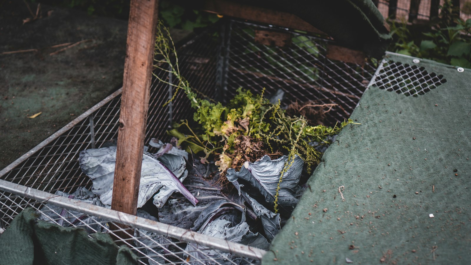 Gartenhäcksler befüllen: Was hineindarf und was das Messer ruiniert Natur Allianz Offener Komposter mit Pflanzenresten aus dem Gemüsebeet