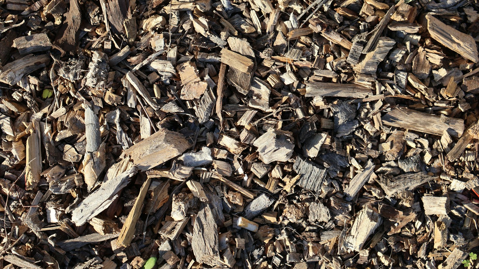 Gartenhäcksler befüllen: Was hineindarf und was das Messer ruiniert Natur Allianz Dicht liegende helle Holzschnitzel unterschiedlicher Größe als Bodenbedeckung