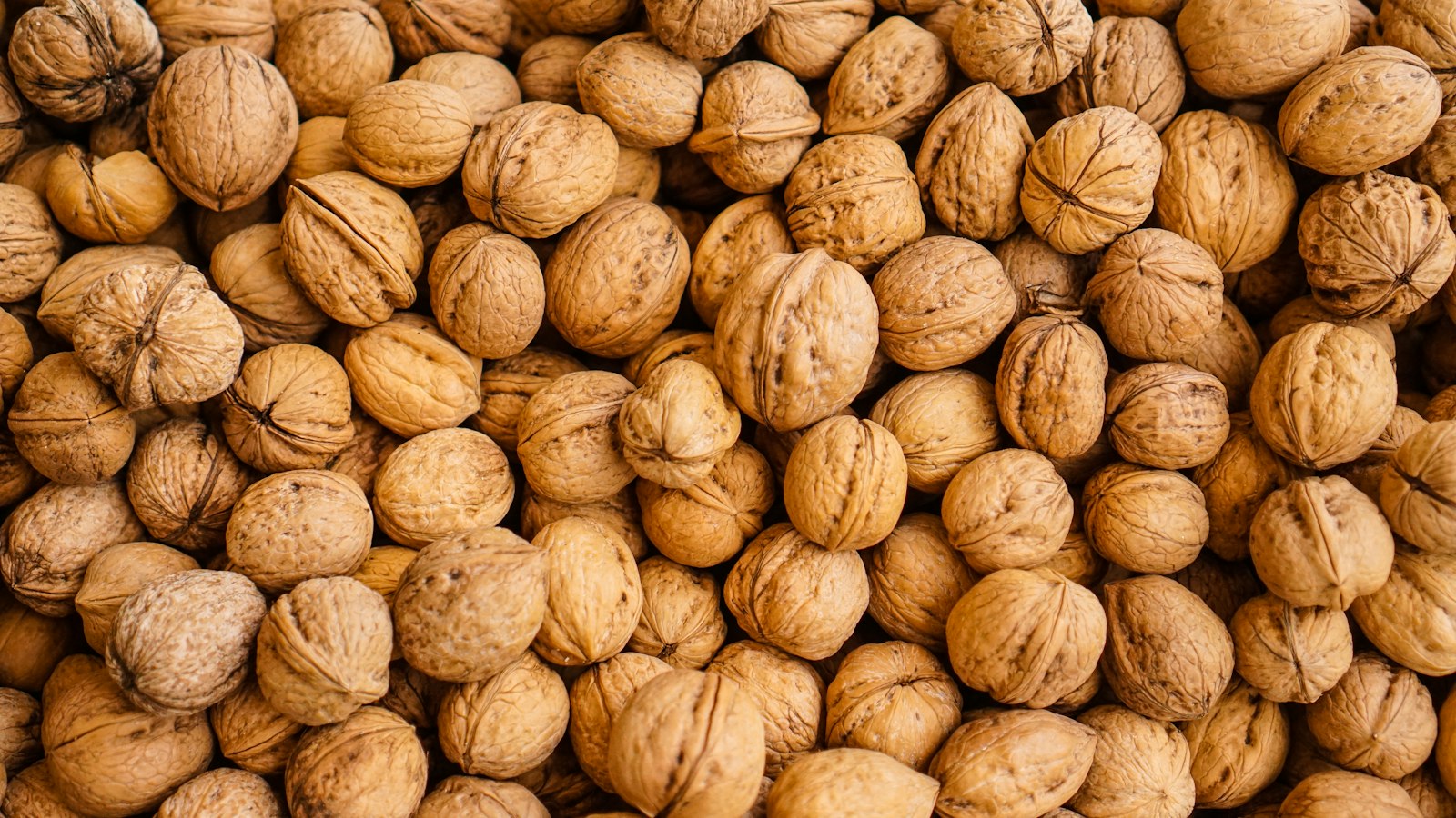 Herbstdeko aus Naturmaterialien: 3 Ideen mit Eicheln, Bucheckern und Walnüssen Natur Allianz Haufen ganzer Walnüsse in der Schale