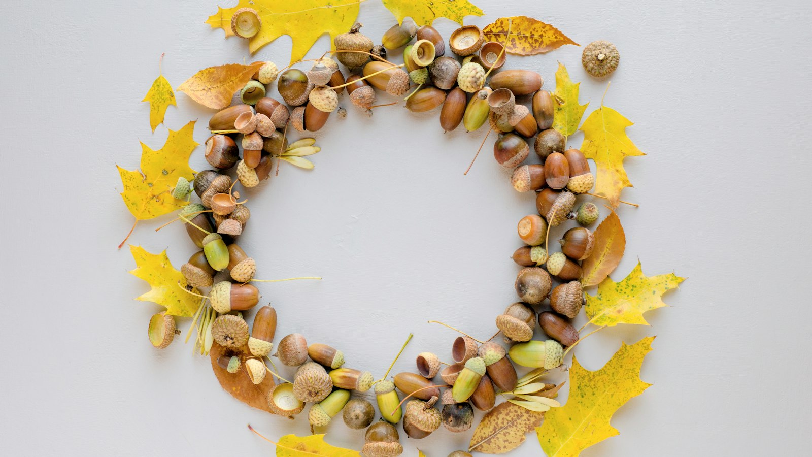 Herbstdeko aus Naturmaterialien: 3 Ideen mit Eicheln, Bucheckern und Walnüssen Natur Allianz Kranz aus Eicheln und gelben Herbstblättern auf hellem Untergrund