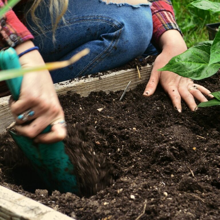 Hände arbeiten mit einer Handschaufel im dunklen Substrat eines Hochbeets aus Holz